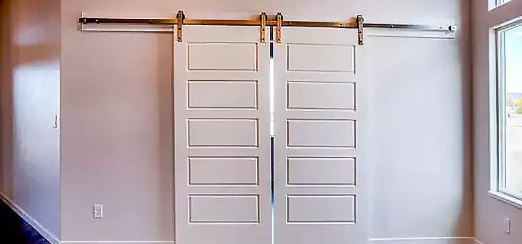 Glass Barn Door with Installation Hardware Kit Southbridge